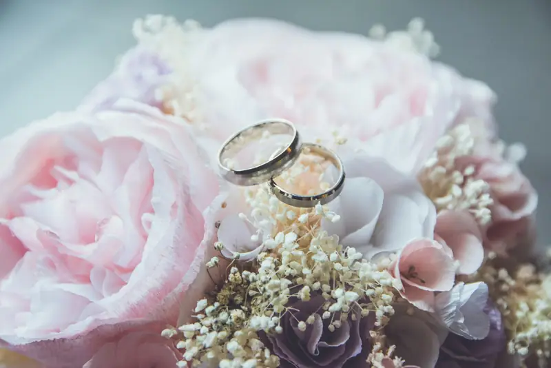 Rings on peonies